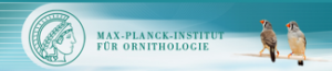 MPI_logo