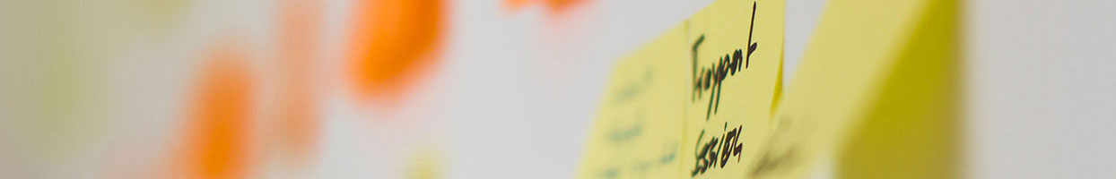 Leistungen_Schaeufelhut-Berger