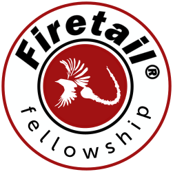 ft-fellowship_250